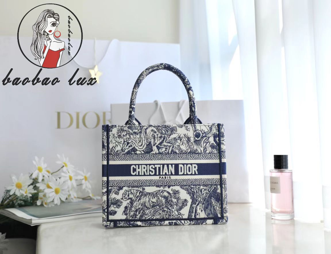 Dior Small Tote Bag thumbnail 1